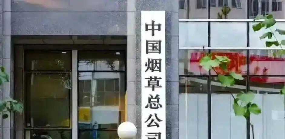 MK体育小威将搭档穆霍娃出战柏林女双