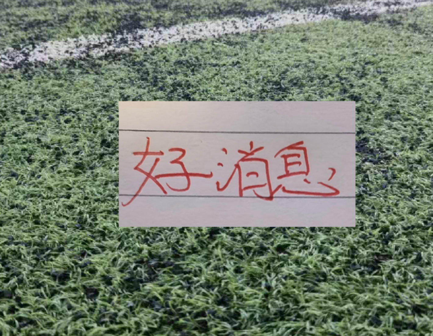 创世界杯历史 亚洲队首次开赛6场不败+碾压欧美 伊朗日本两度追平